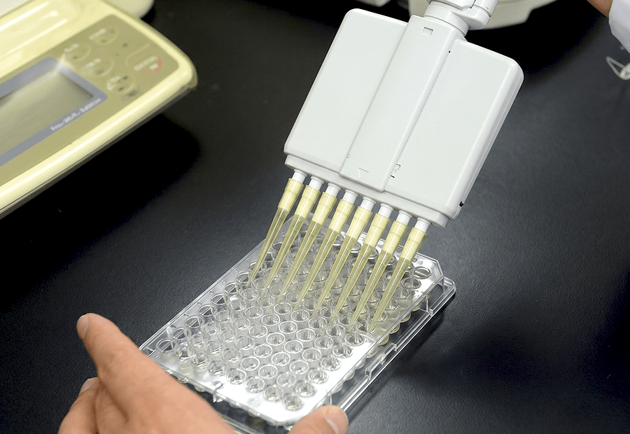研究の様子
